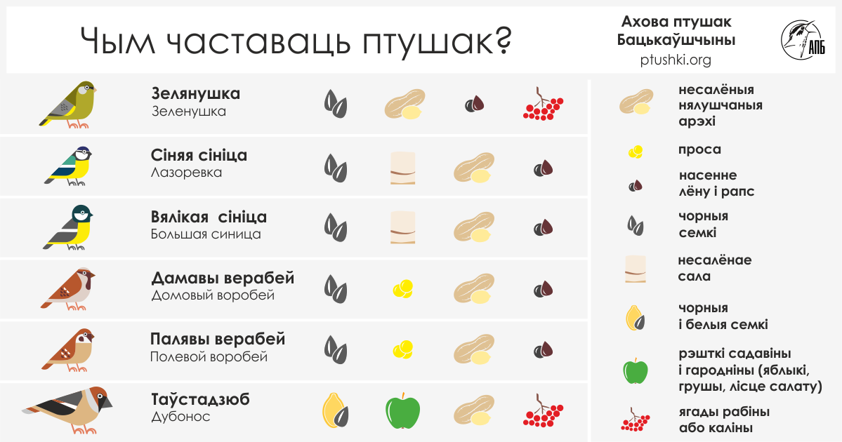 Очки котел корм для птиц какой герой. Корм для зимующих птиц. Подкармливать птиц. Чем кормить зимующих птиц. Корм для зимующих птиц таблица.